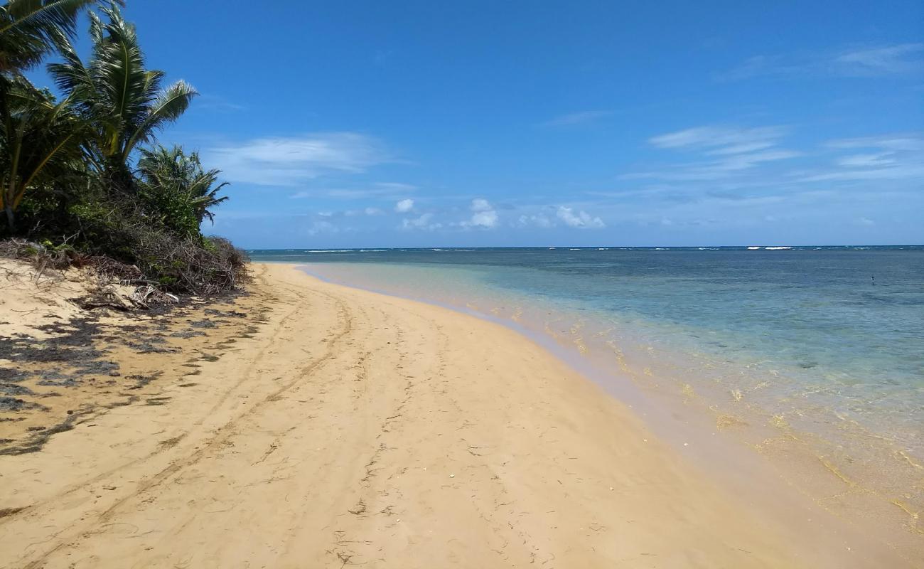 Foto af Punta Bandera Strand med lys fint sand overflade