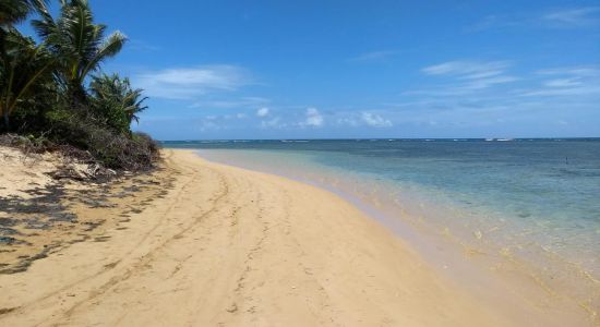 Punta Bandera Strand