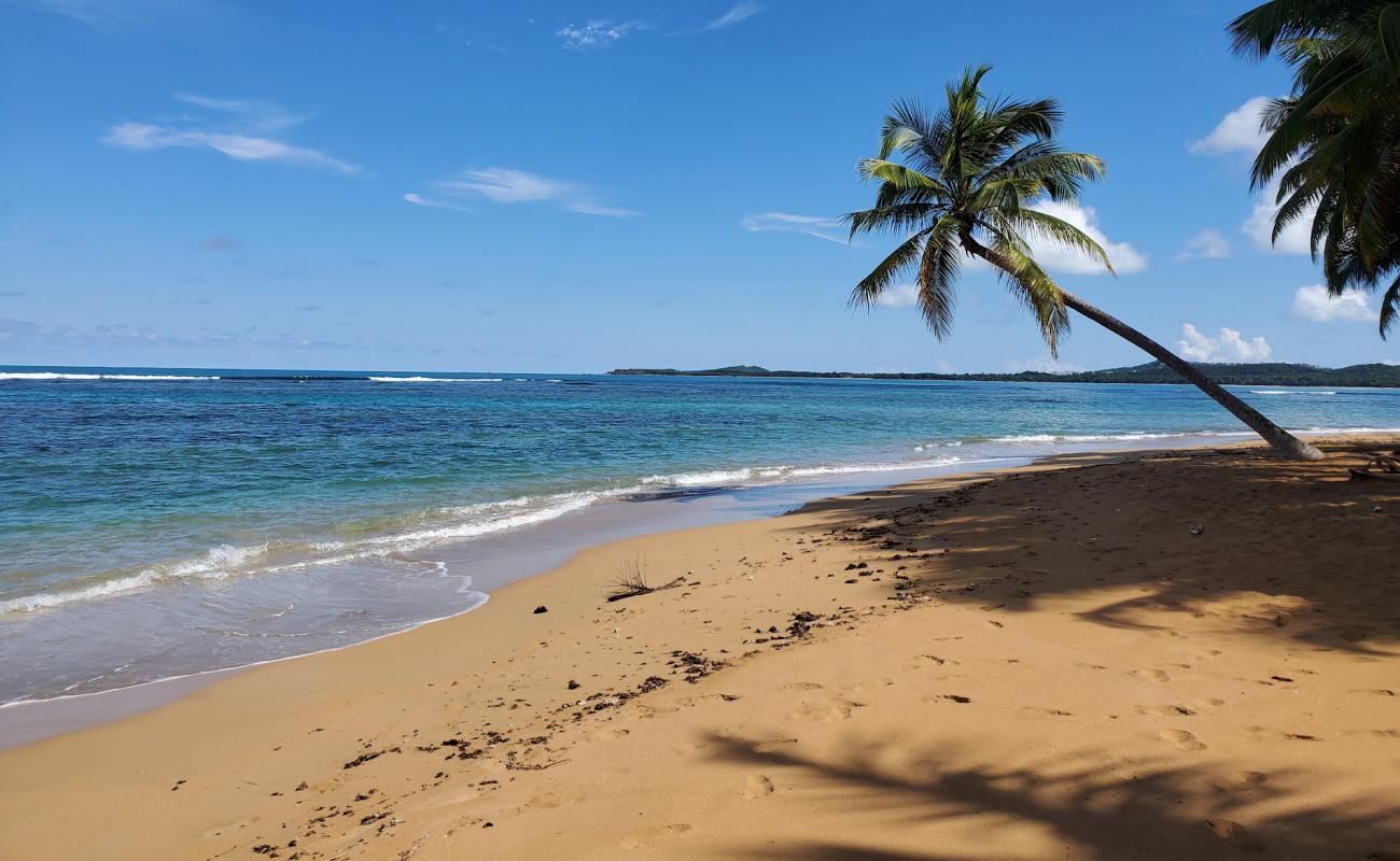 Foto af Playa Migel II med lys fint sand overflade