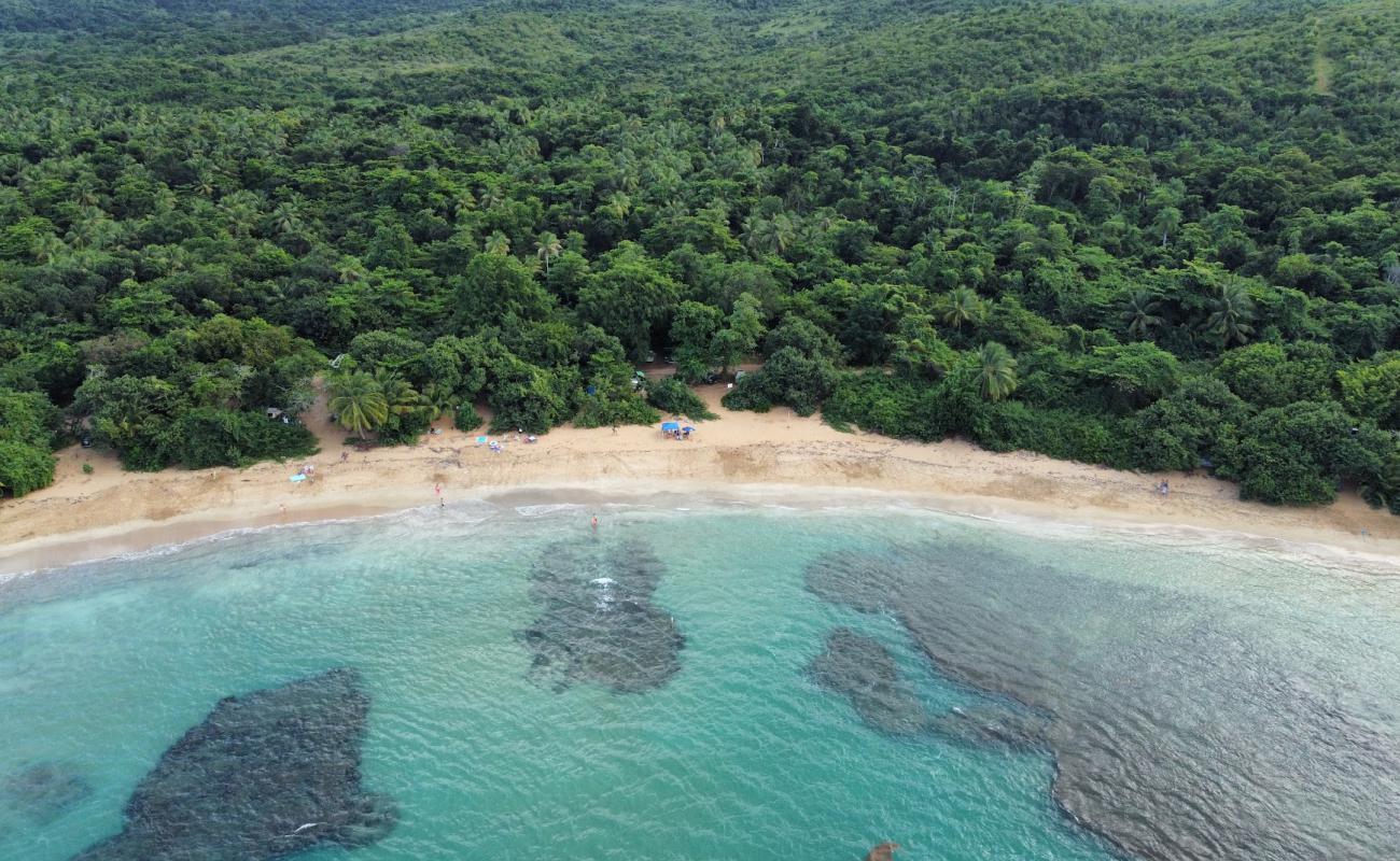 Foto af Playa La Selva med lys fint sand overflade