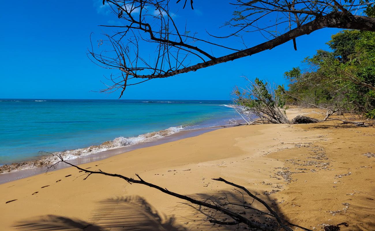 Foto af Playa Fajardo med lys sand overflade