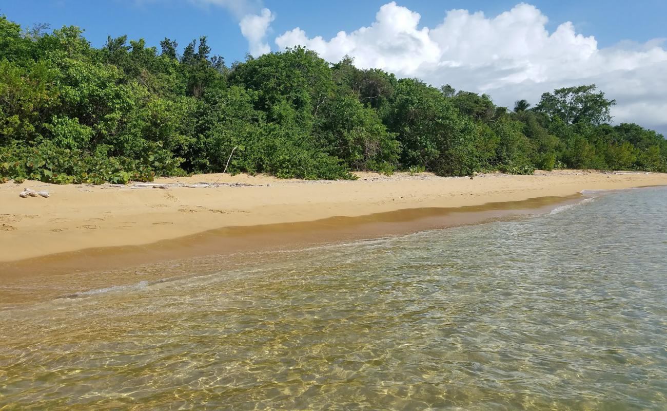 Foto af Playa Cabeza Chiquita med lys fint sand overflade