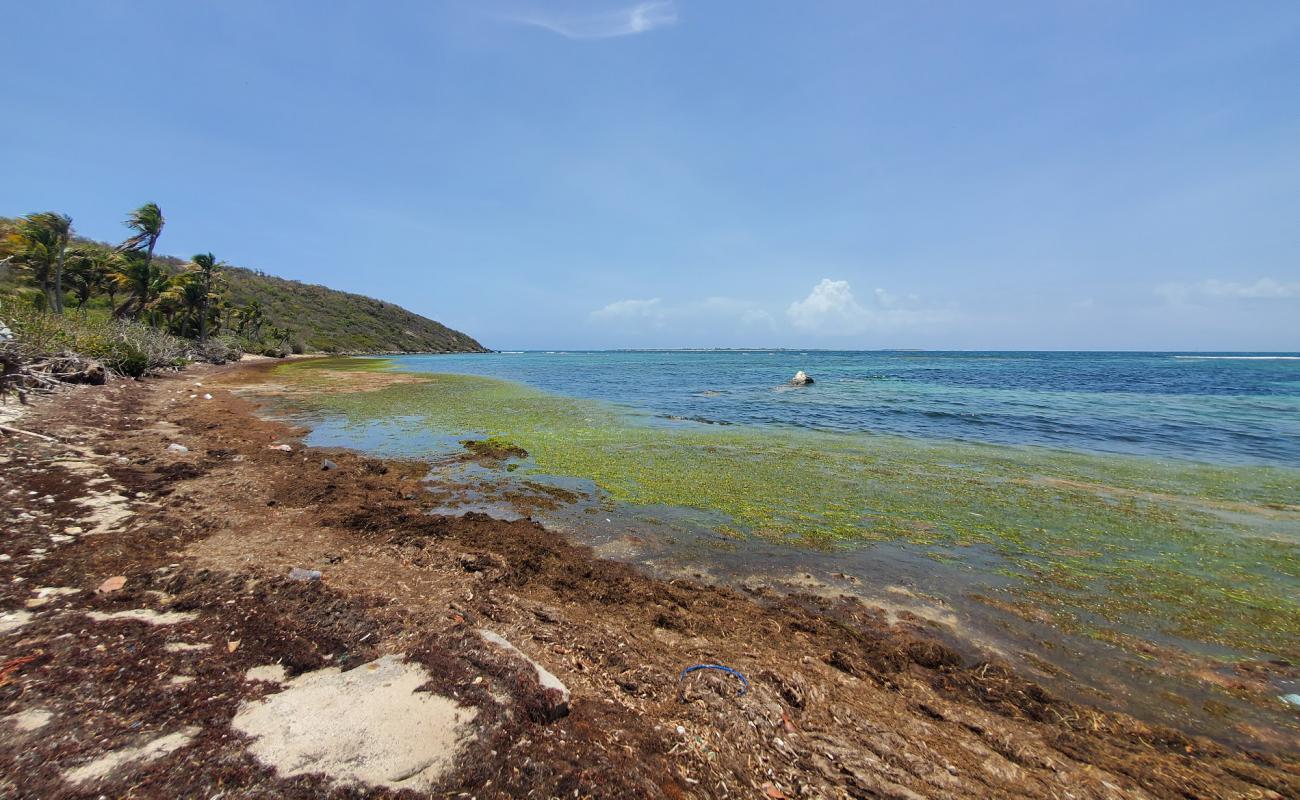 Foto af Playa Canalejo med lyst sand & sten overflade