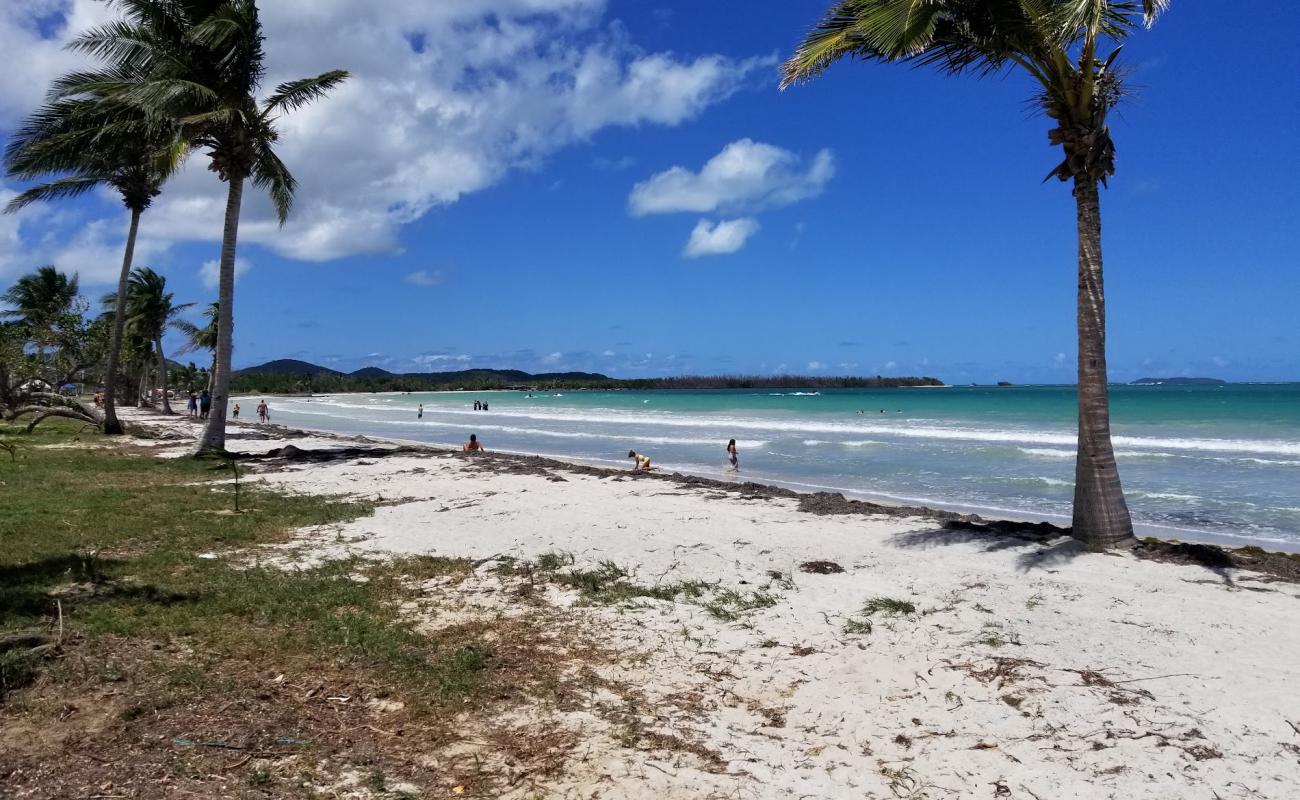 Foto af Playa Los Machos med lys sand overflade