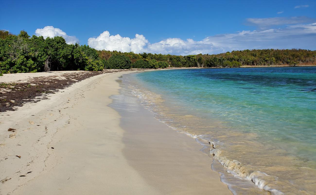 Foto af Playa Cayo Pineiro med lys fint sand overflade