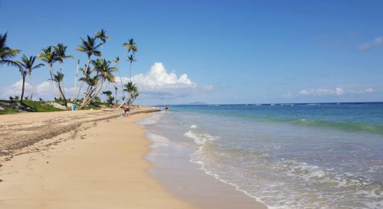 Playa Palmas del mar