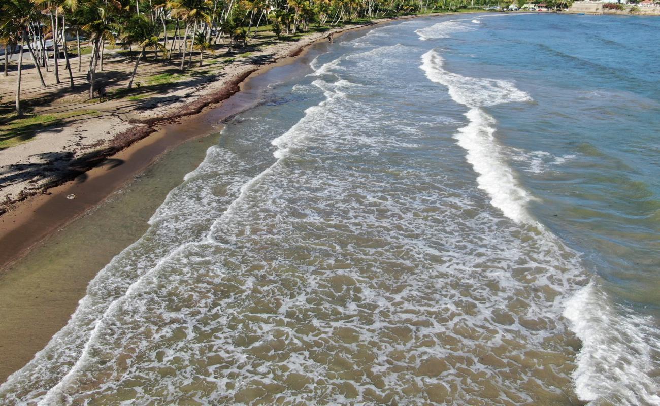 Foto af Playa Guayanes med lys sand overflade