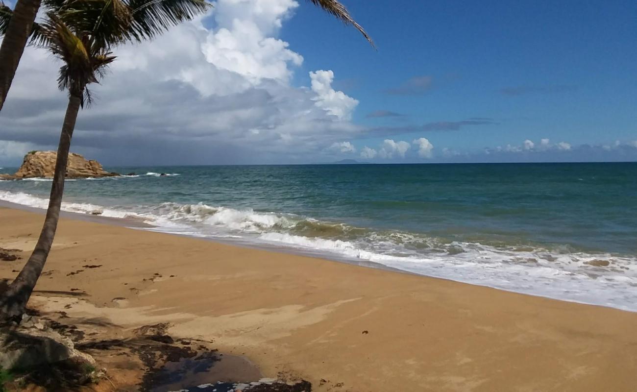 Foto af Playa El Negro med lys sand overflade