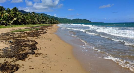 Playa Punta Tuna