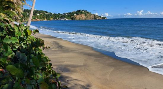 Playa Los Bohios