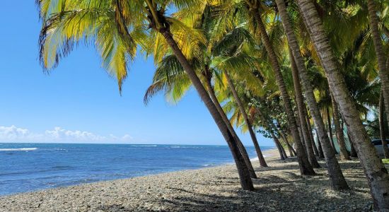 Playa Guardaraya