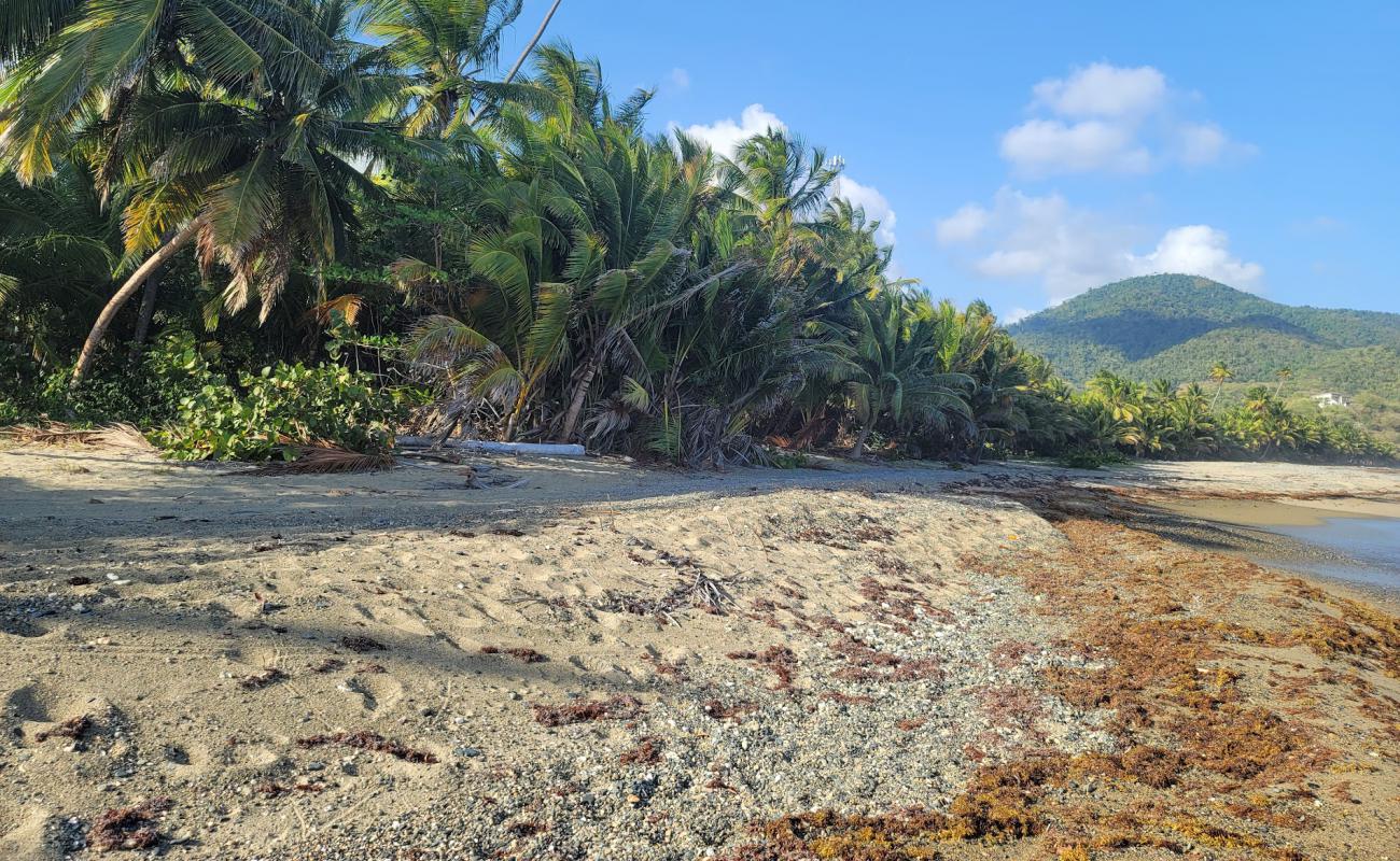 Foto af Playa Corsica med gråt sand og småsten overflade