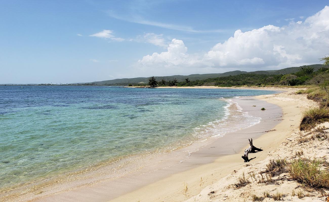 Foto af Playa Tamarindo med lys fint sand overflade