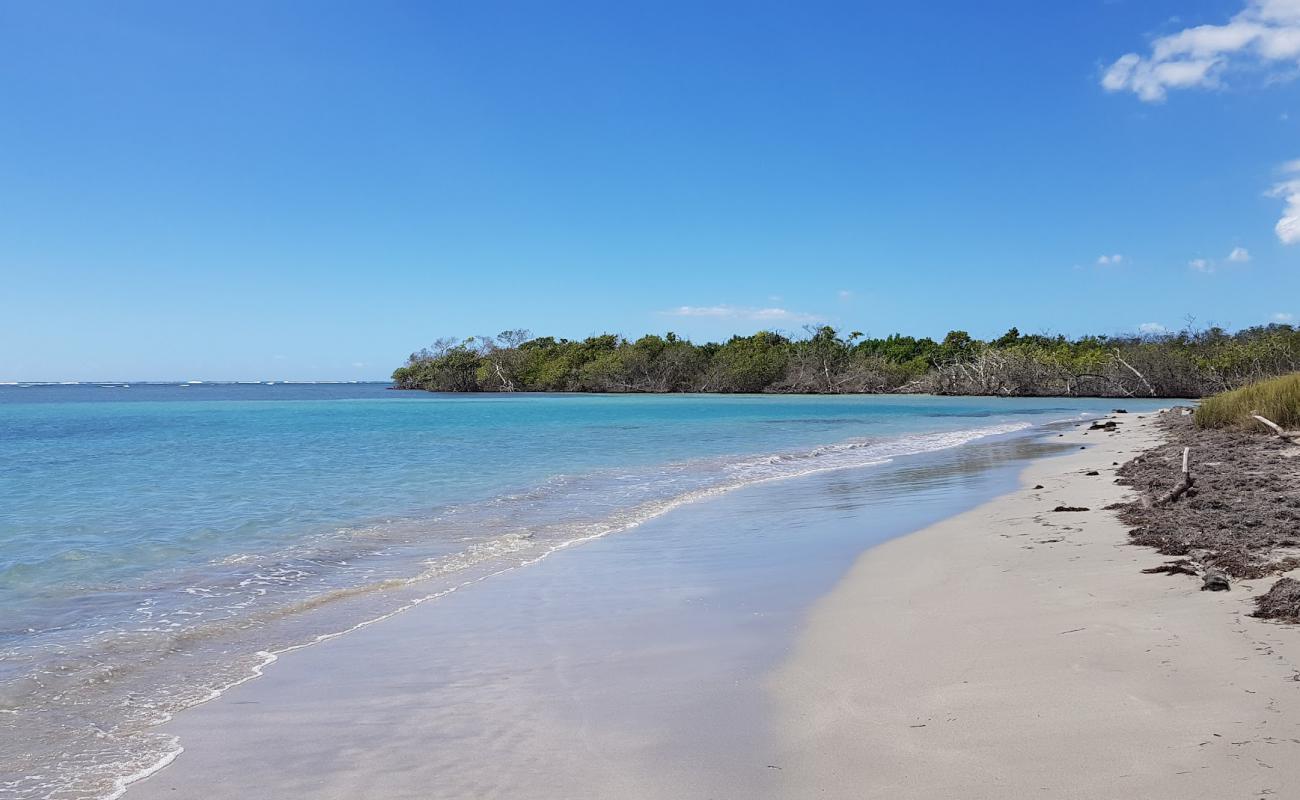 Foto af Playa Ballena med lys sand overflade