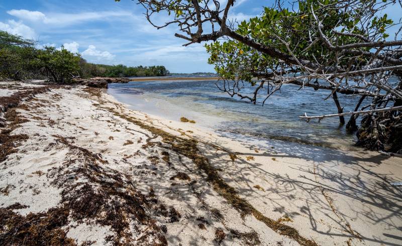 Foto af Playa Los Congres med lys sand overflade