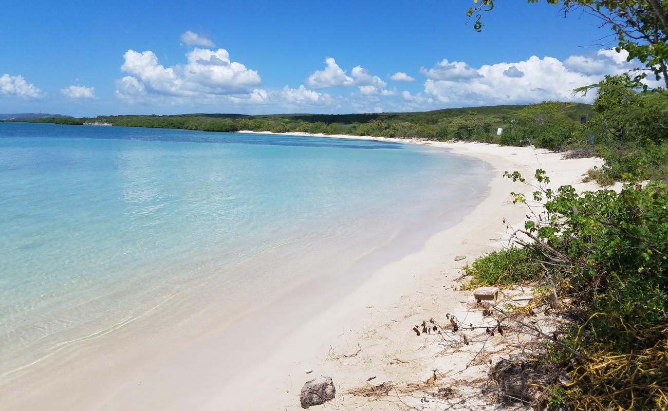 Foto af Playa La Jungla med lys fint sand overflade