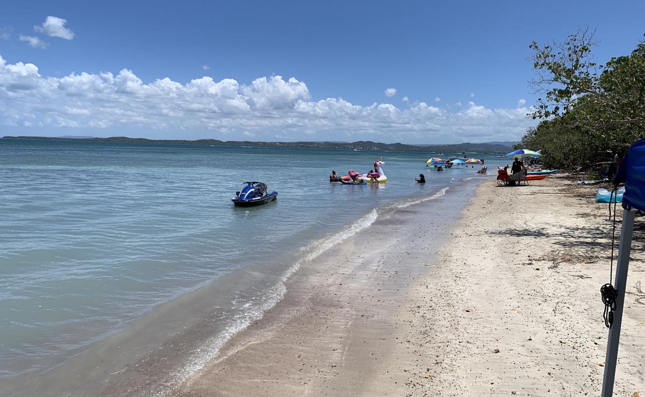 Foto af Playa  Los Pozos med grå sand overflade