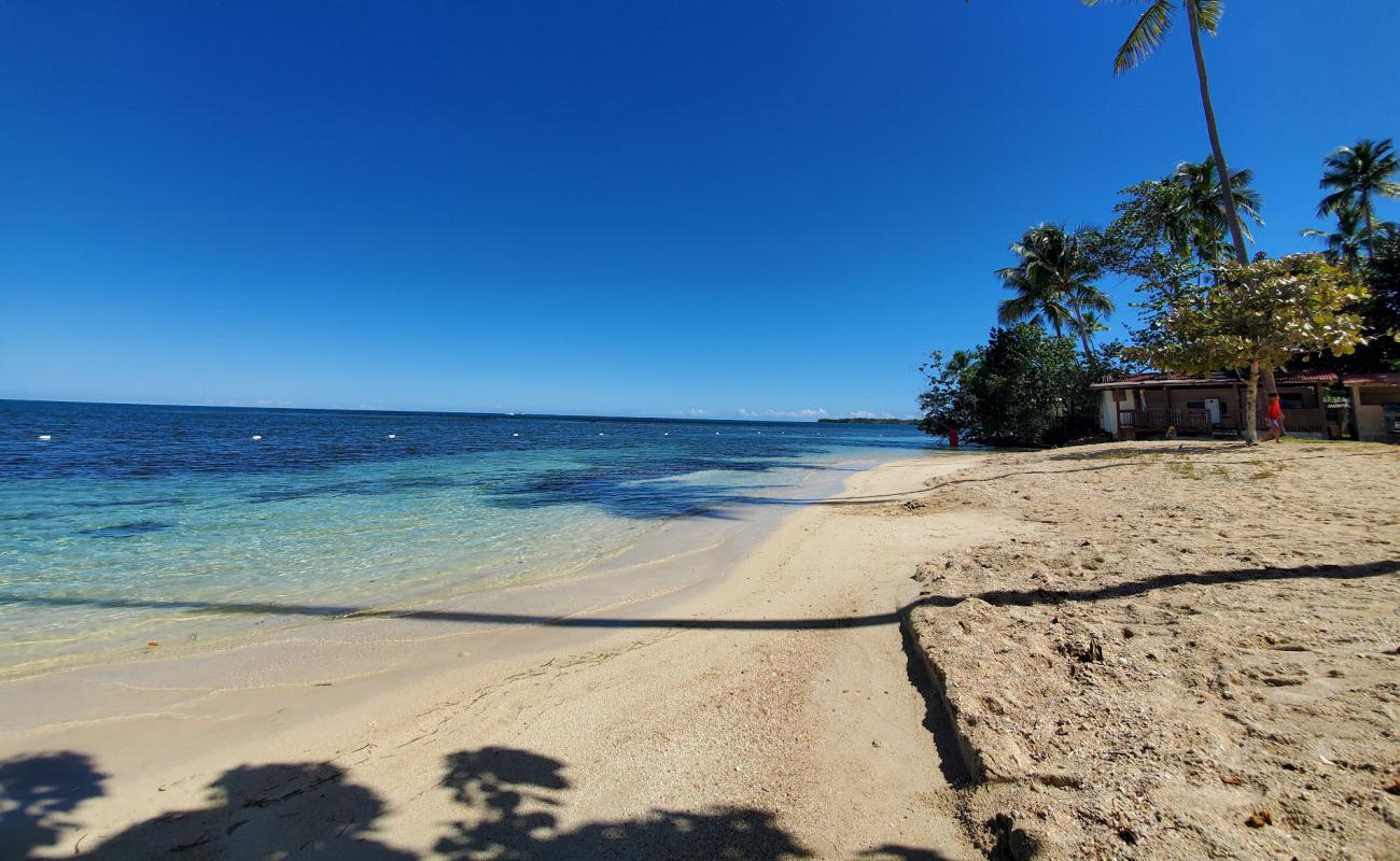 Foto af Playa La Mela med lys fint sand overflade