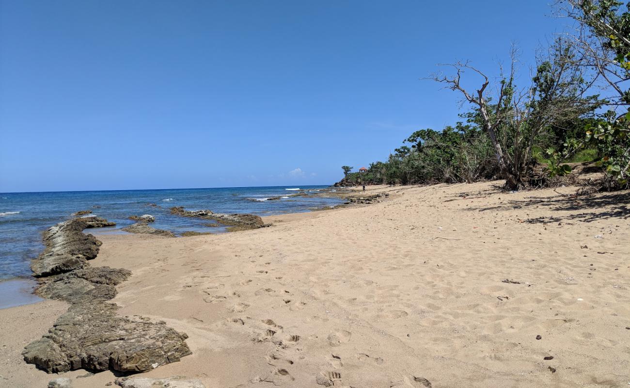 Foto af Playa Maria med lys fint sand overflade