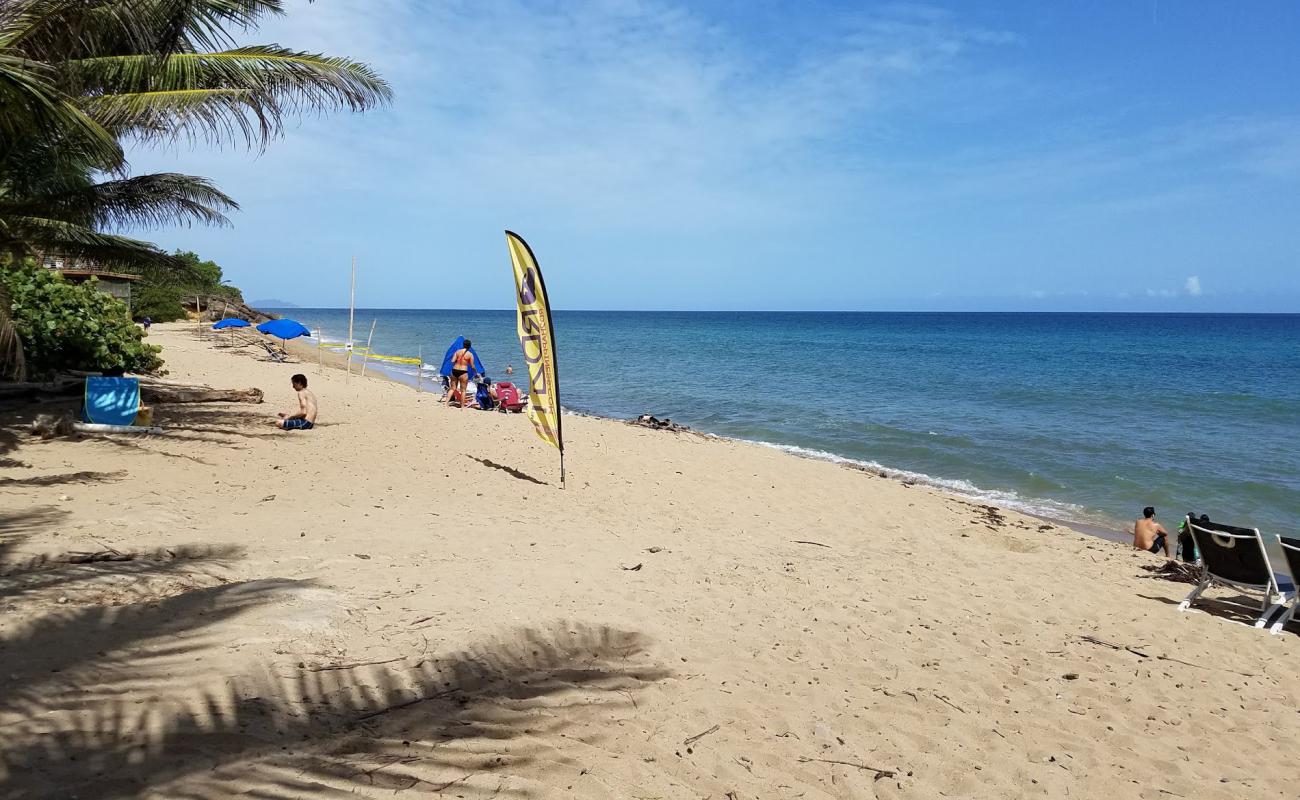 Foto af Sandy Beach East med lys sand overflade