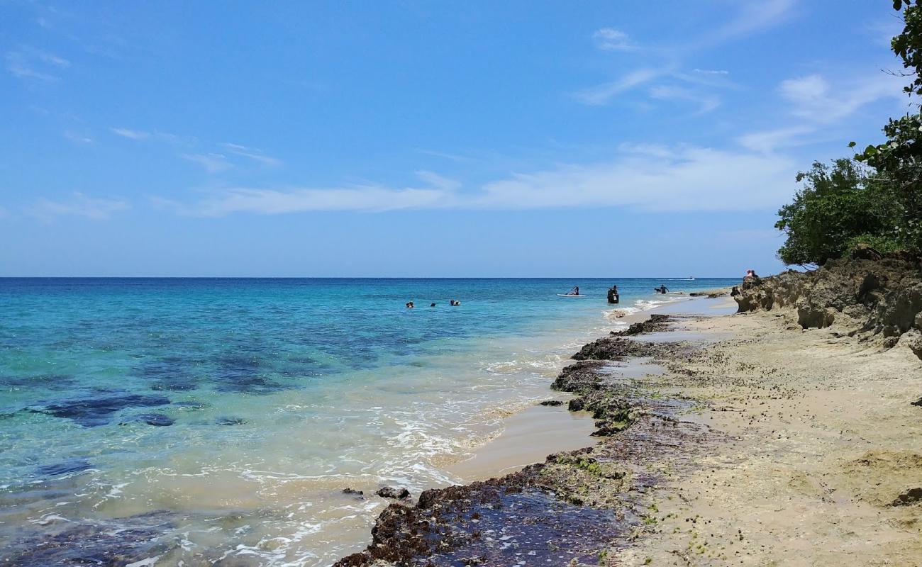 Foto af India beach med gråt sand og sten overflade