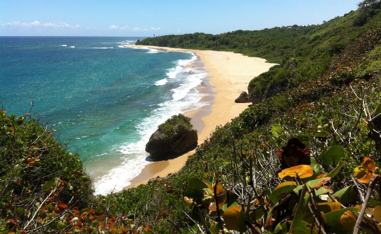 Foto af Pena Martinica beach med sten overflade