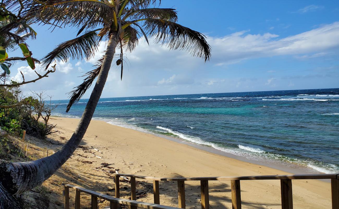 Foto af Shacks beach med lys sand overflade