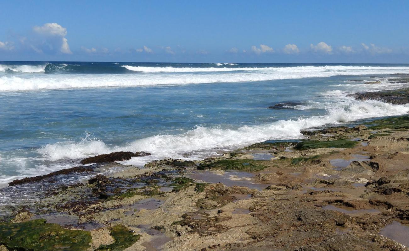 Foto af Los Almendros beach med sten overflade