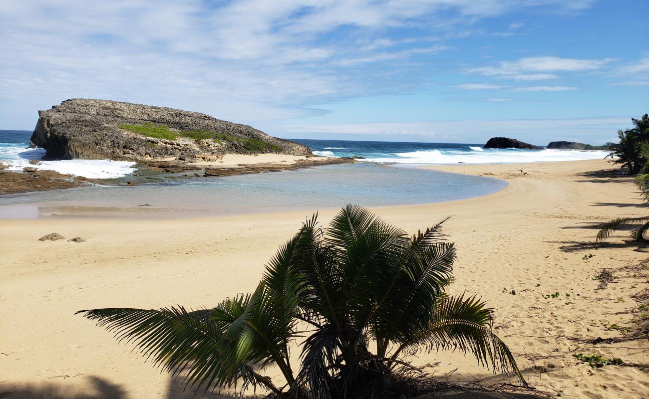 Foto af Arecibo beach med lys sand overflade