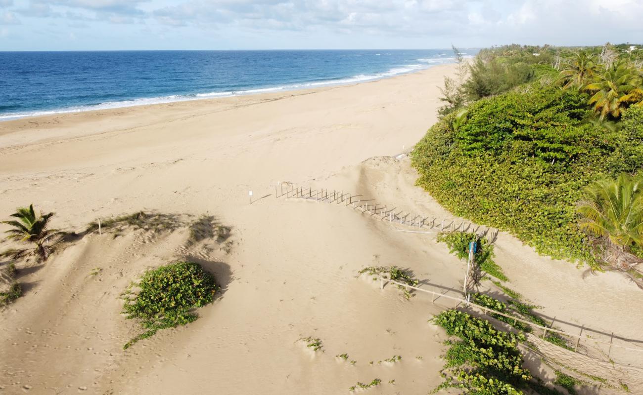 Foto af Hallows beach med lys sand overflade