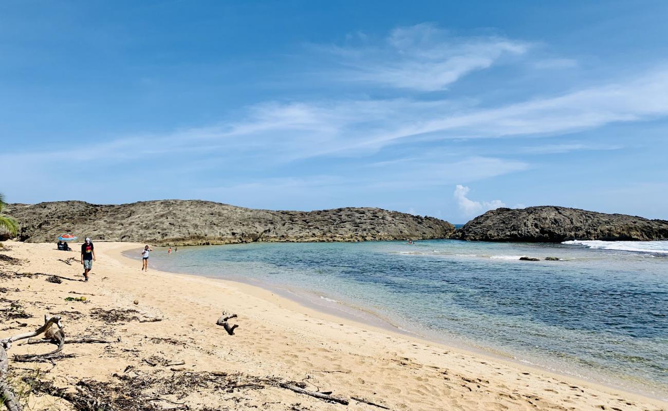 Foto af Playa Tombolo beach med lys sand overflade