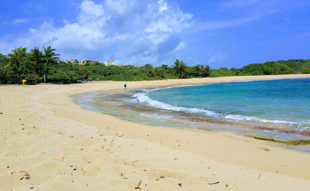 Foto af Las Palmas beach med lys sand overflade