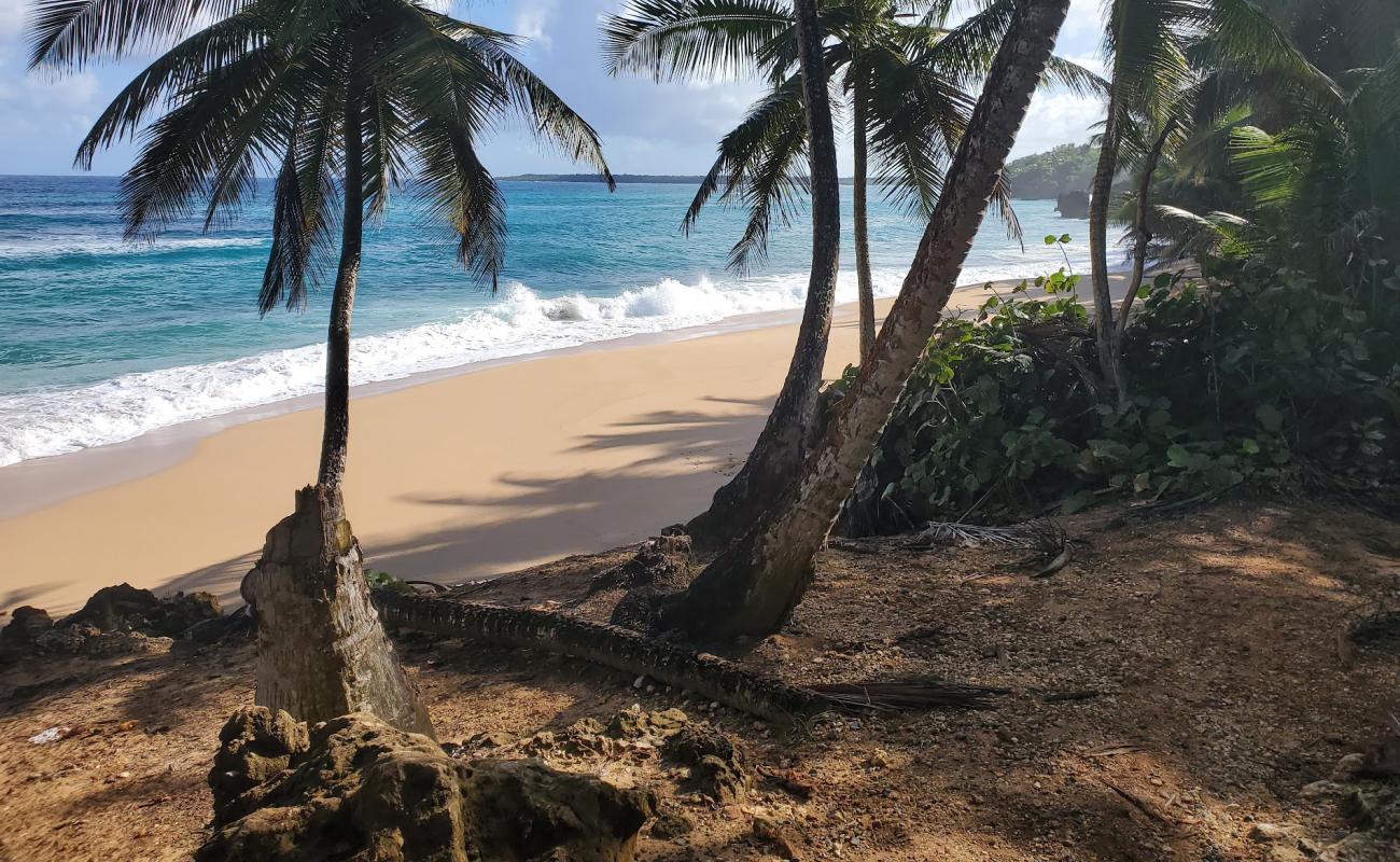 Foto af Escondida beach med lys sand overflade