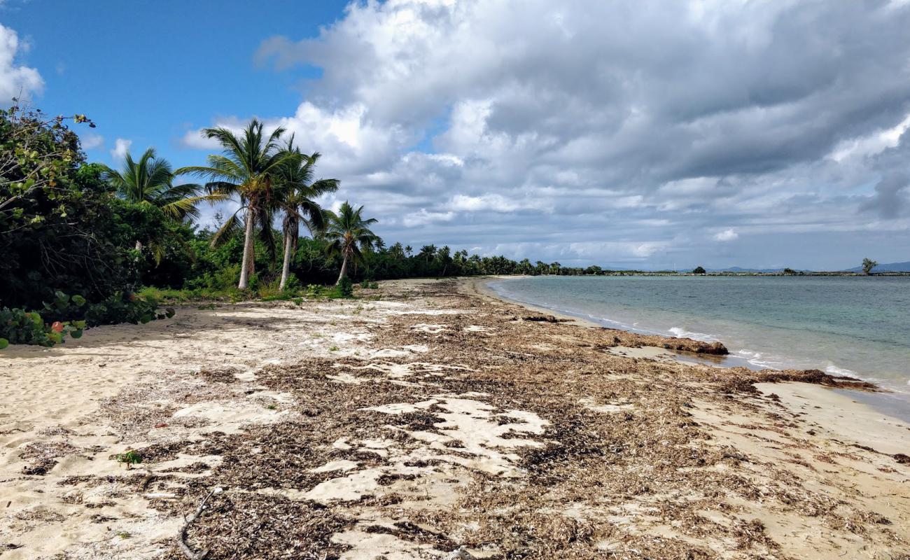 Foto af Playa Blaydin II med lys sand overflade