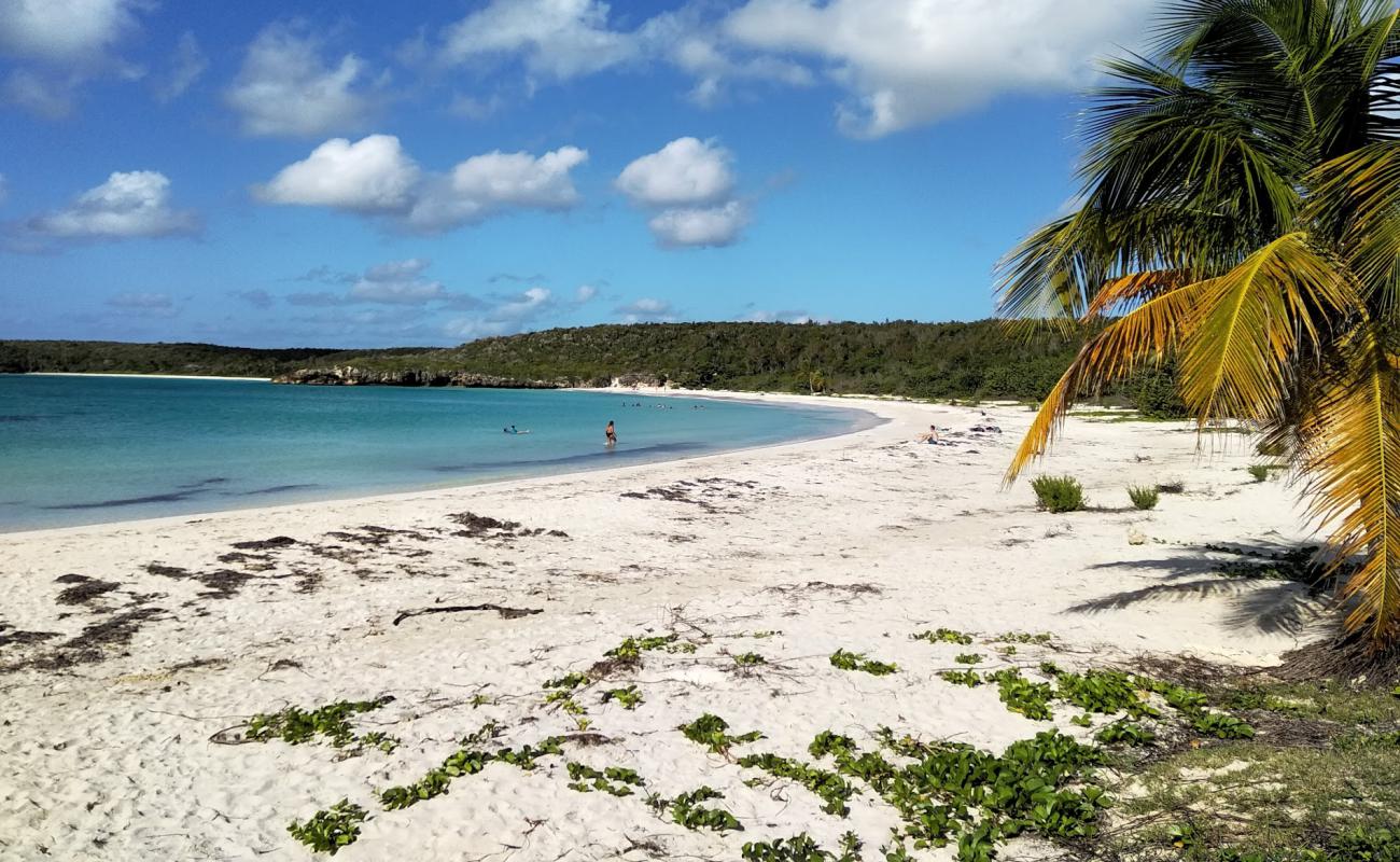 Foto af Caracas beach med hvidt sand overflade