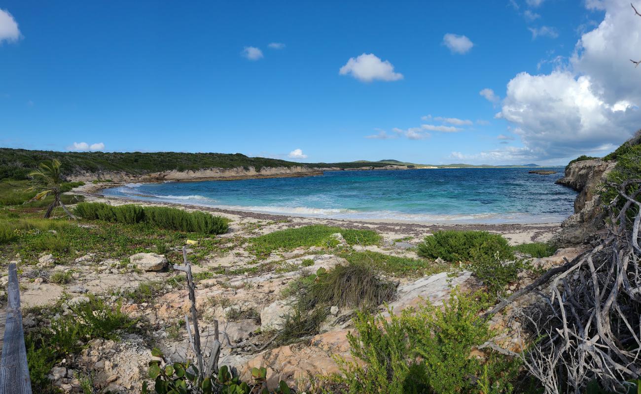 Foto af Puerto Ferros beach med gråt sand og sten overflade