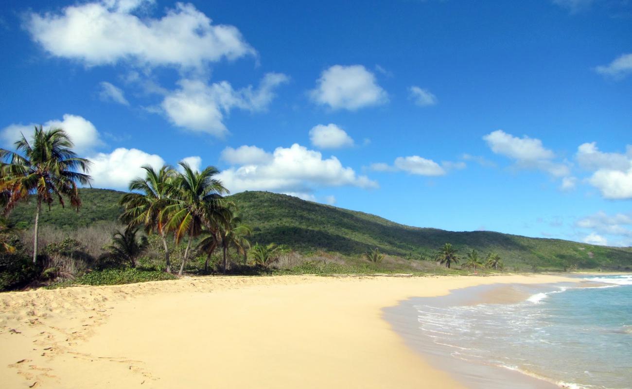 Foto af Playa Brava med lys sand overflade