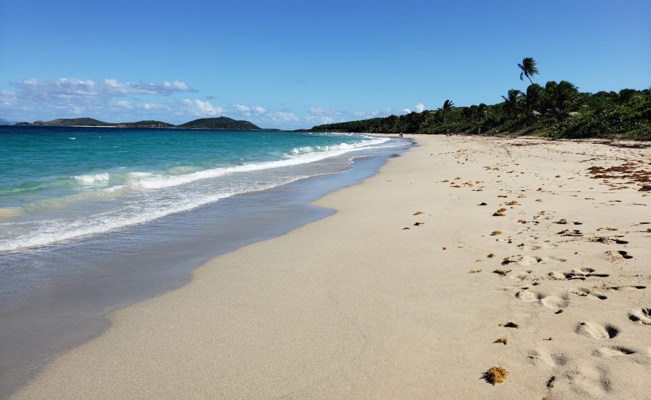 Foto af Zoni beach med lys sand overflade