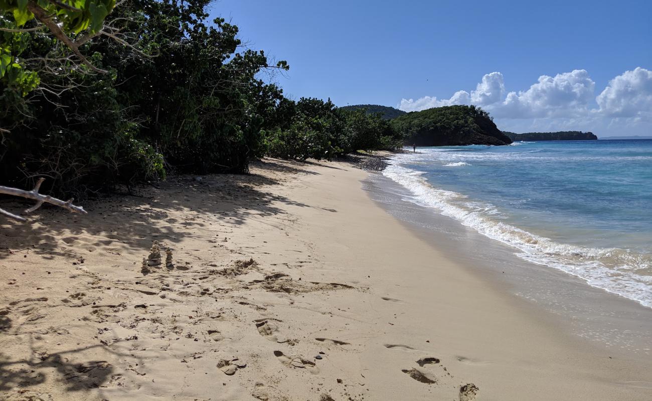 Foto af Playa Carlos Rosario med lys sand overflade