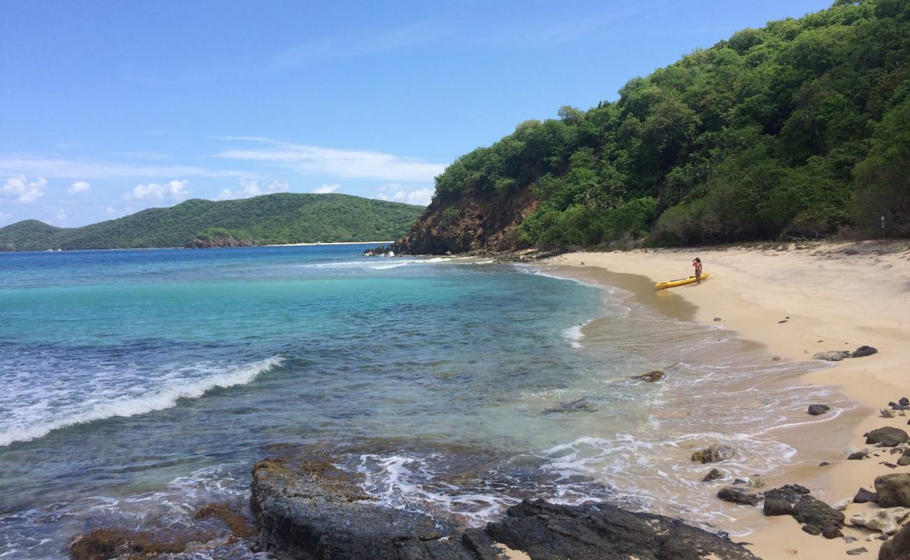 Foto af Luis Pena beach med lys fint sand overflade