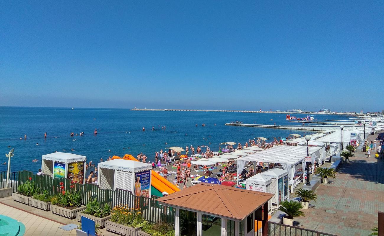 Foto af Primorsky beach med grå sten overflade