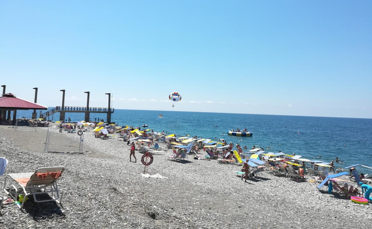 Foto af Sheksna beach med grå sten overflade