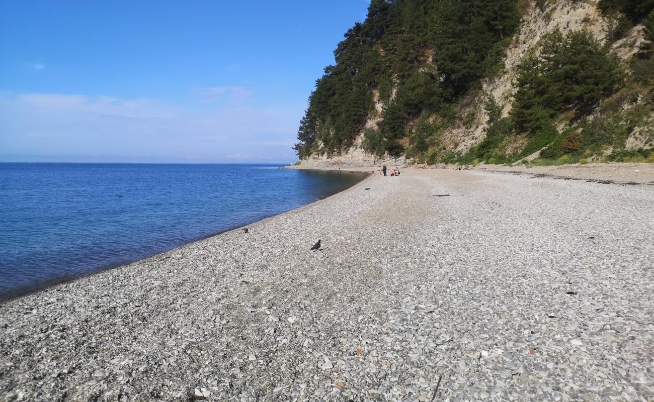 Foto af Pier 167 beach med grå sten overflade