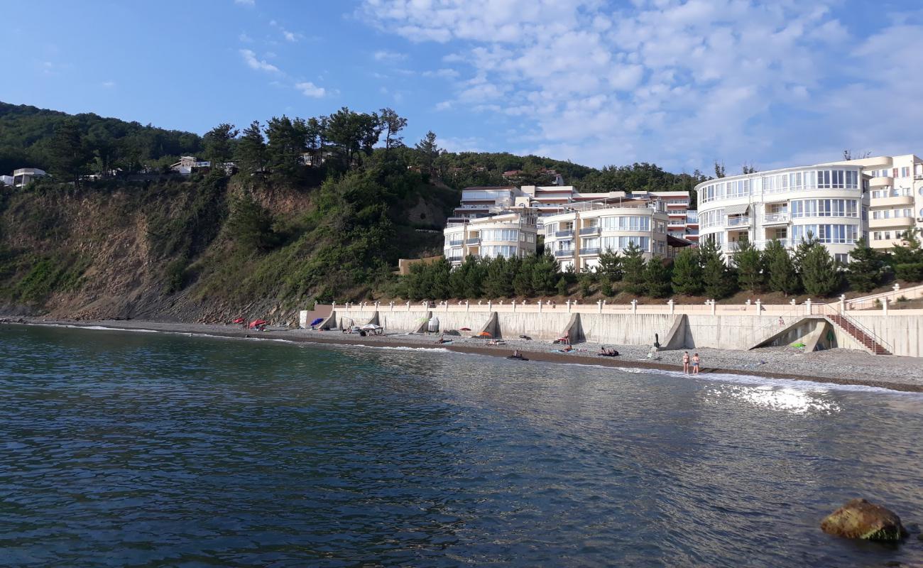 Foto af Pine Coast beach med grå sten overflade