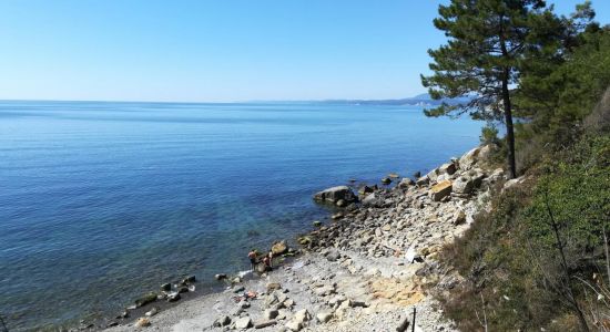 Agrias reserve beach