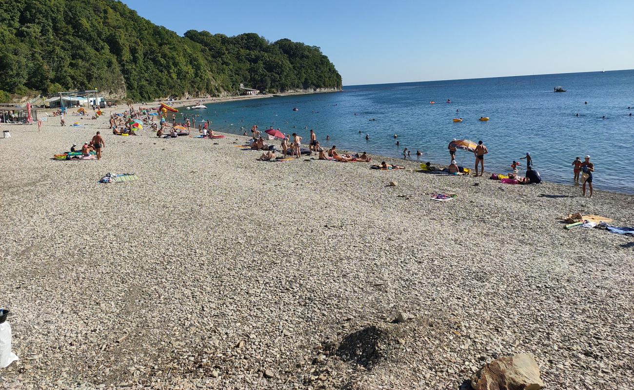 Foto af Primorskaya beach med grå sten overflade