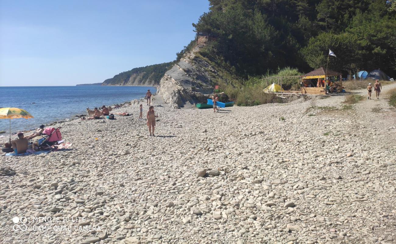 Foto af Nazarova dacha beach med let sten overflade