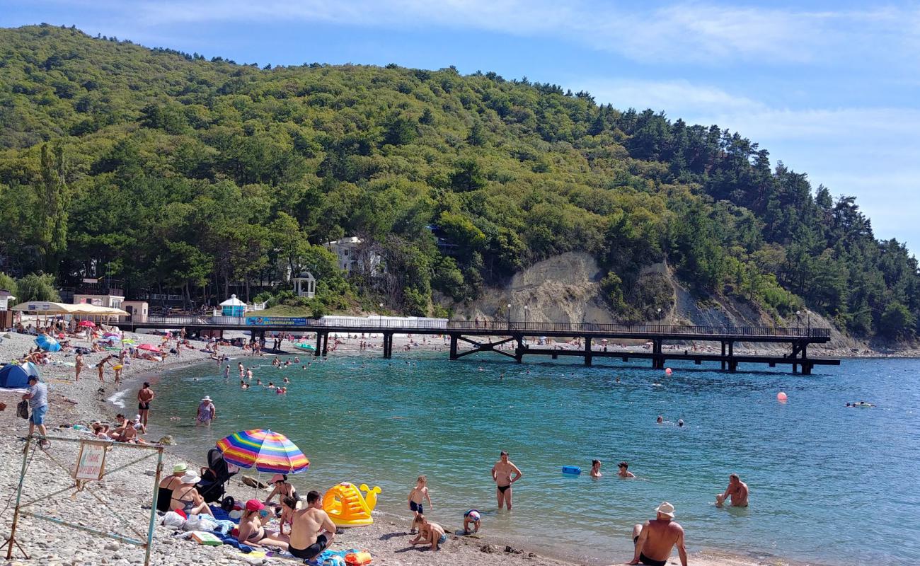 Foto af Dzhanhot beach med let sten overflade