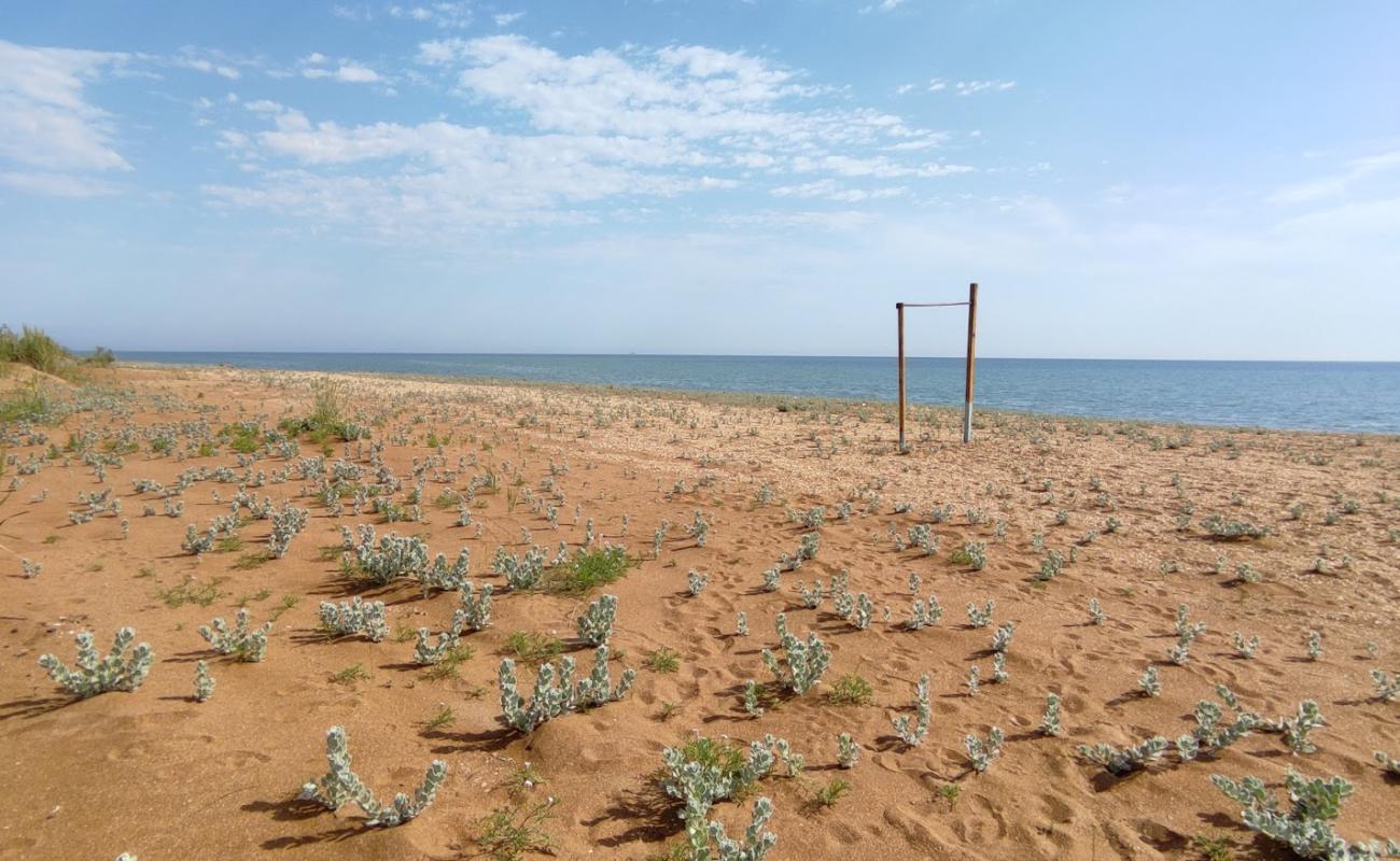 Foto af Svjazist Beach med let fin sten overflade