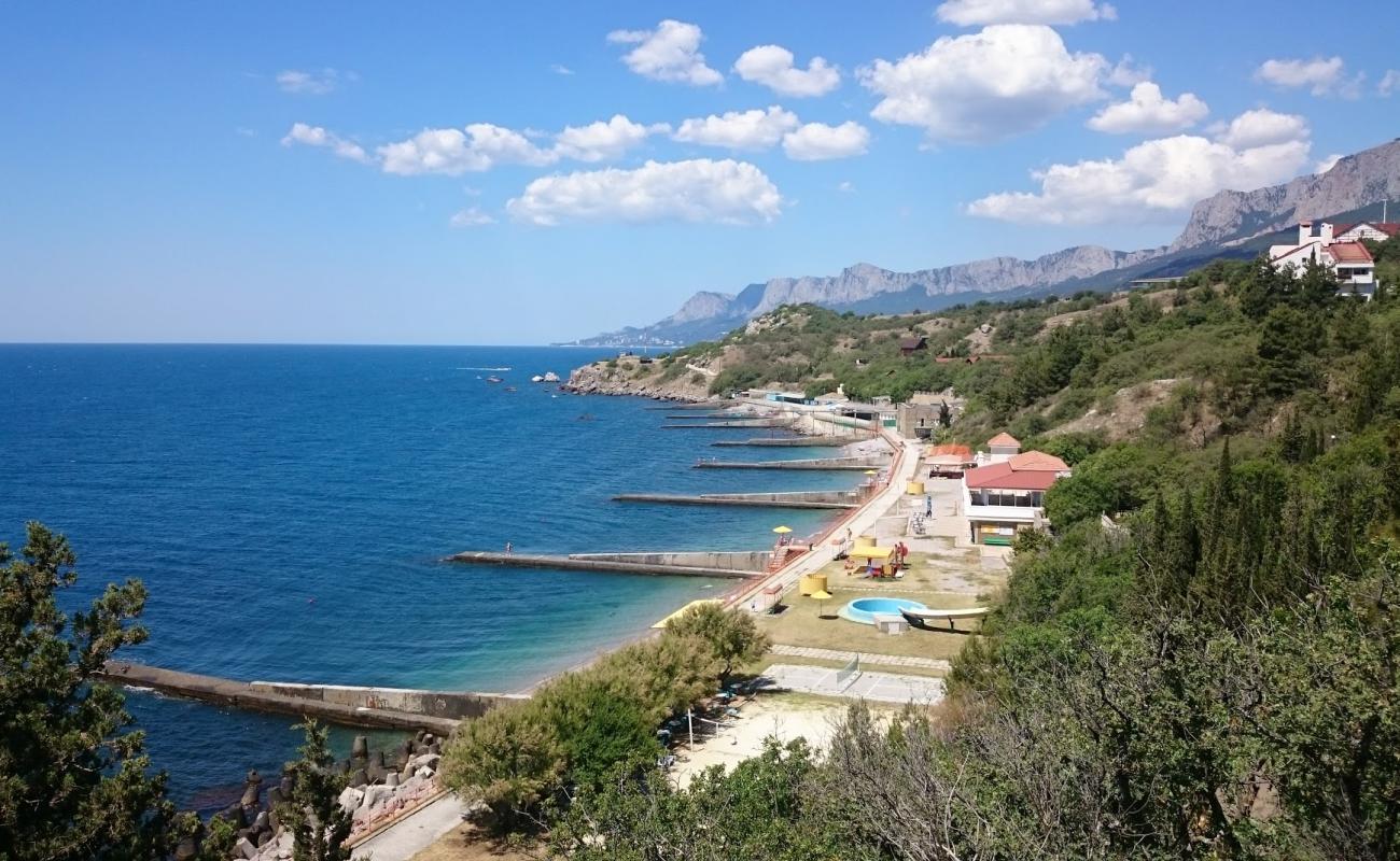 Foto af Ponizovka beach med grå sten overflade